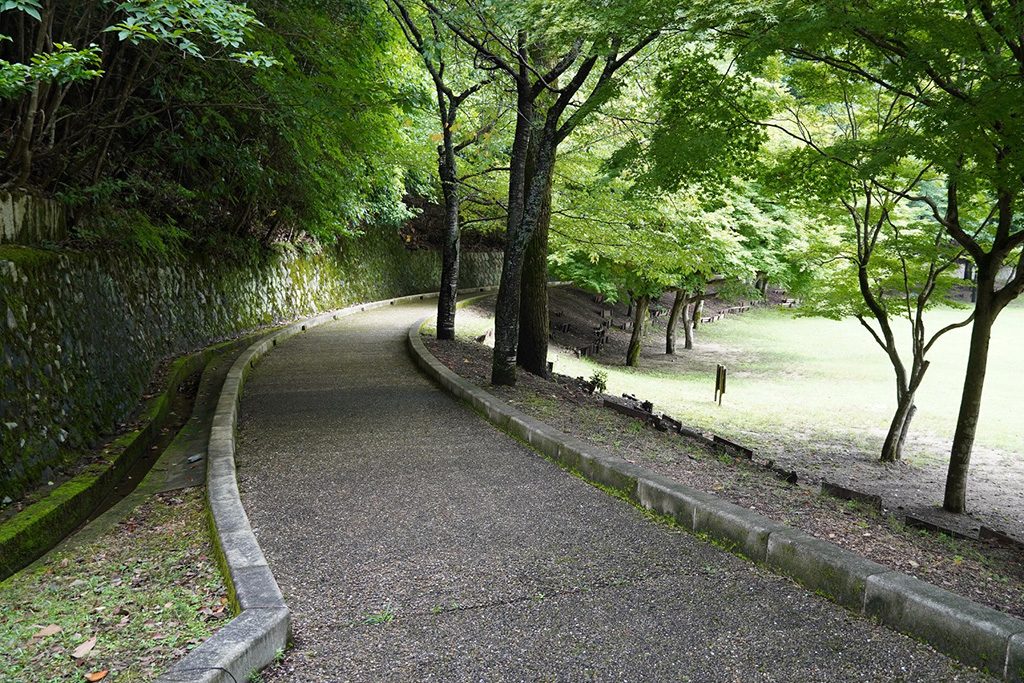 散策路/宝が池公園 子どもの楽園(京都府/京都市)