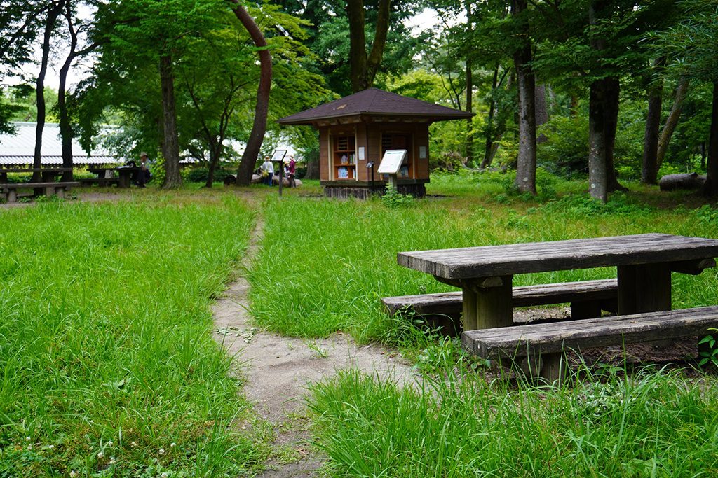 母と子の森/京都御苑(京都府/京都市)