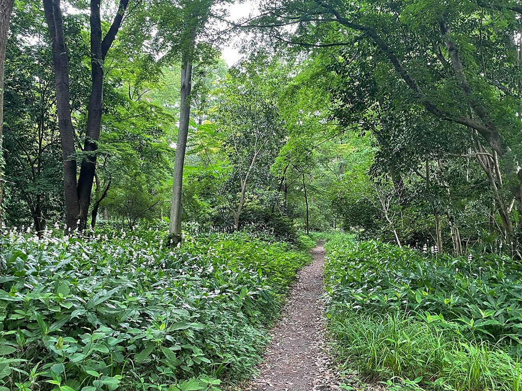 京都御苑(京都府/京都市)