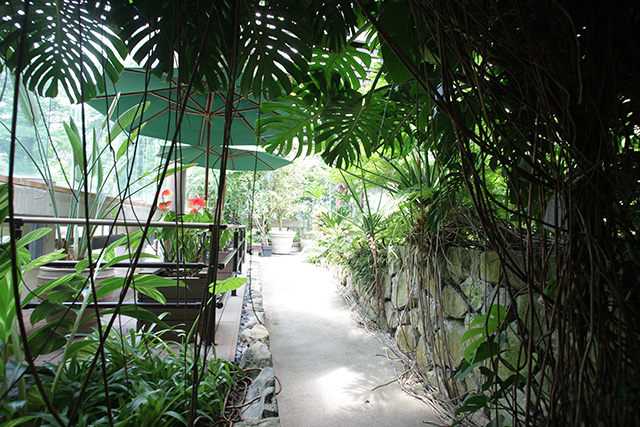 都市緑化植物園/服部緑地(大阪府/豊中市)
