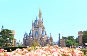 千葉県 テーマパーク 遊園地 子どもとおでかけ 旅行情報 記事一覧 るるぶkids