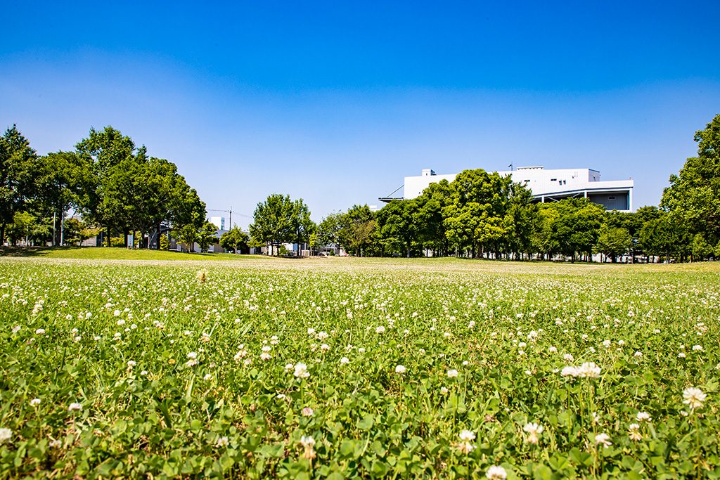 芝生広場/ふれあい緑地(大阪府/豊中市)