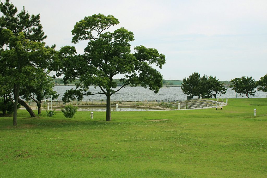 芝生広場/舞洲緑地(大阪市/此花区)
