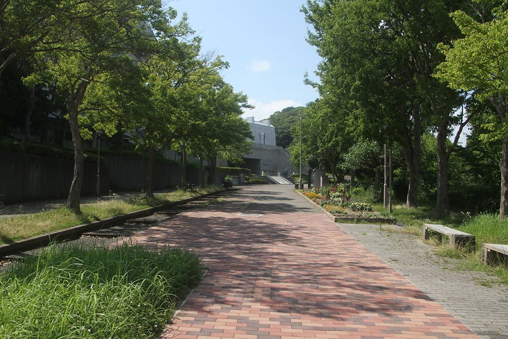 園内の散策道/神戸総合運動公園(神戸市/須磨区)