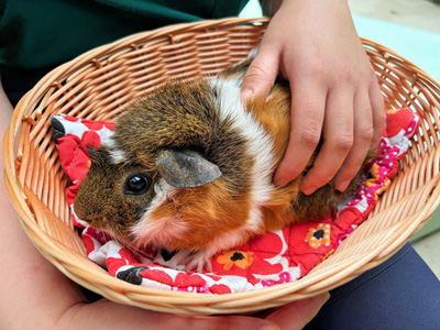 万騎が原ちびっこ動物園(神奈川県横浜市旭区)