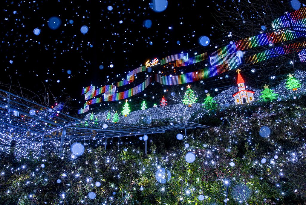 イルミネーション「クリスマスファンタジー」/あしかがフラワーパーク(栃木県/足利市)