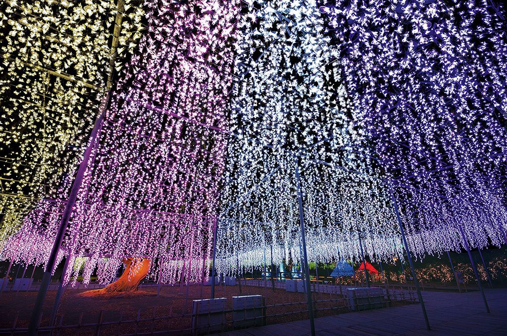 イルミネーション「光のふじの花物語」/あしかがフラワーパーク(栃木県/足利市)