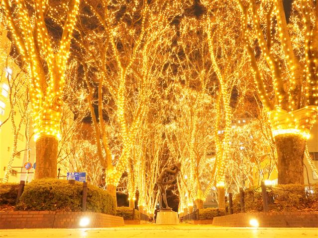 東北のイルミネーション15選 22 23 入園無料の公園など子連れにおすすめ るるぶkids