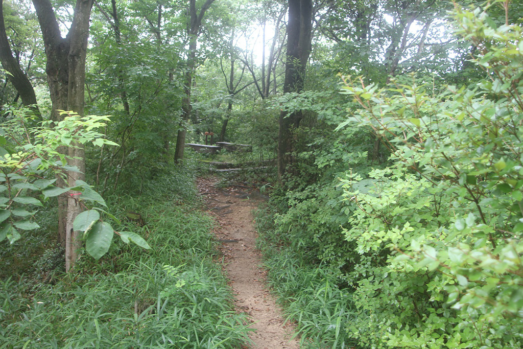 散策路/再度公園(兵庫県/神戸市)