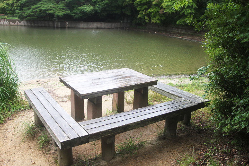 修法ヶ原池のすぐそばにあるベンチ/再度公園(兵庫県/神戸市)