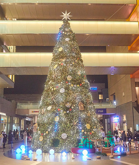 「鏡映しのクリスマスツリー」/二子玉川ライズ(東京都/世田谷区)