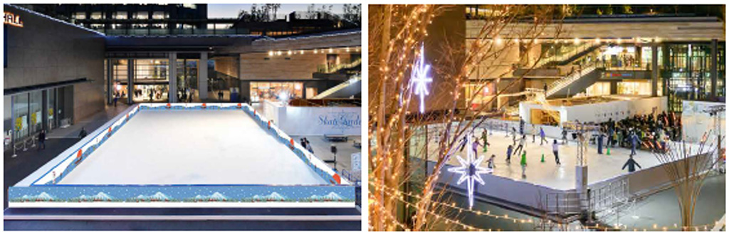 SKATE GARDEN「湖のスケート場」/二子玉川ライズ(東京都/世田谷区)