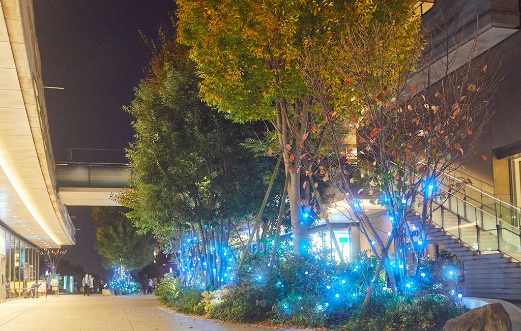 ウィンターイルミネーション「水と光の森」/二子玉川ライズ(東京都/世田谷区)