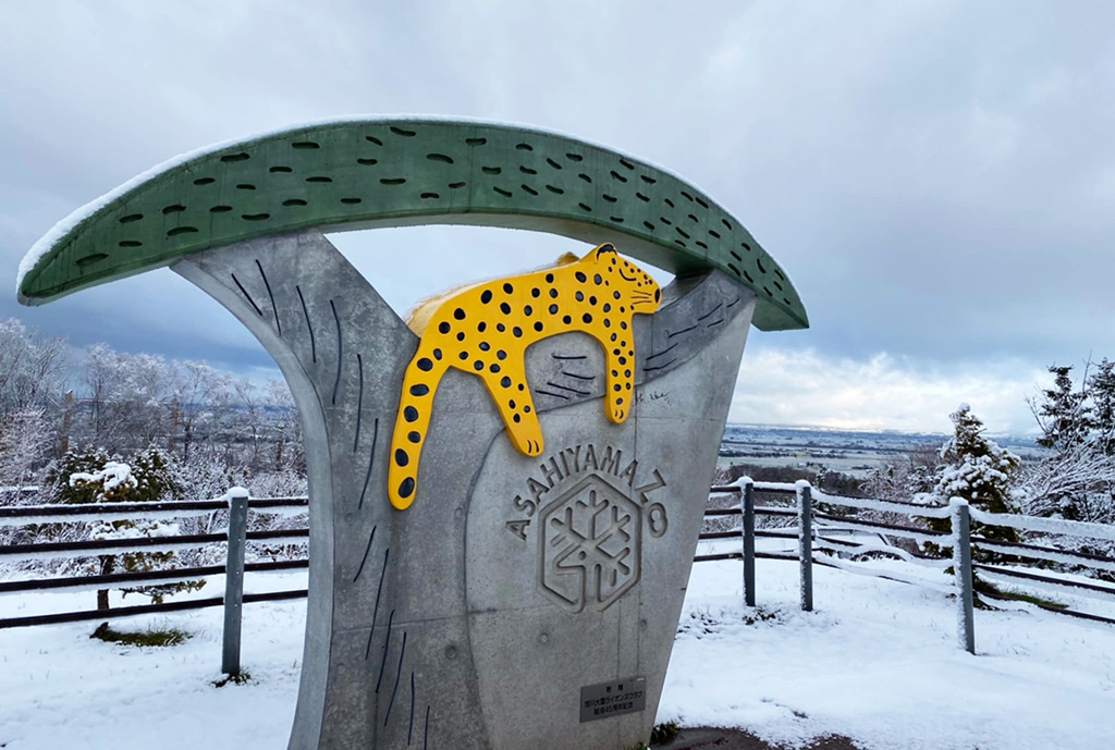 旭山動物園の冬の見どころ・イベントは?ペンギンの散歩や雪の似合う動物10選など