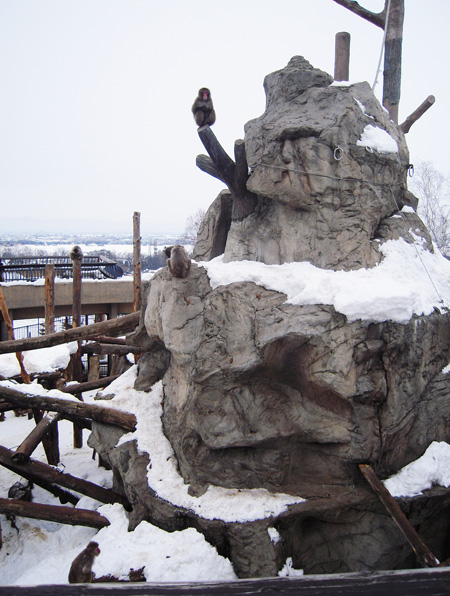 雪が積もる「さる山」/旭川市旭山動物園(北海道)