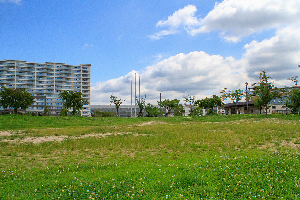 芝生広場/西河原公園 (大阪府/茨木市)