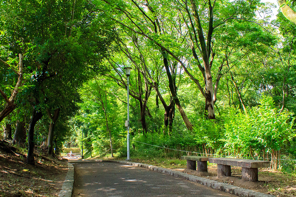 遊歩道/西河原公園 (大阪府/茨木市)