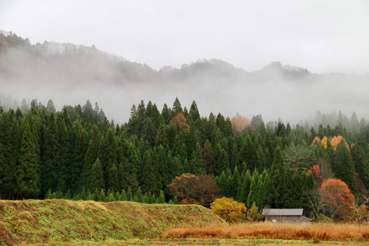 金山町