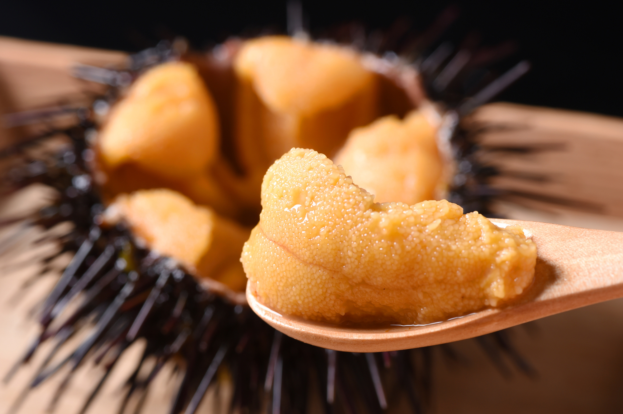 魚魚郎>