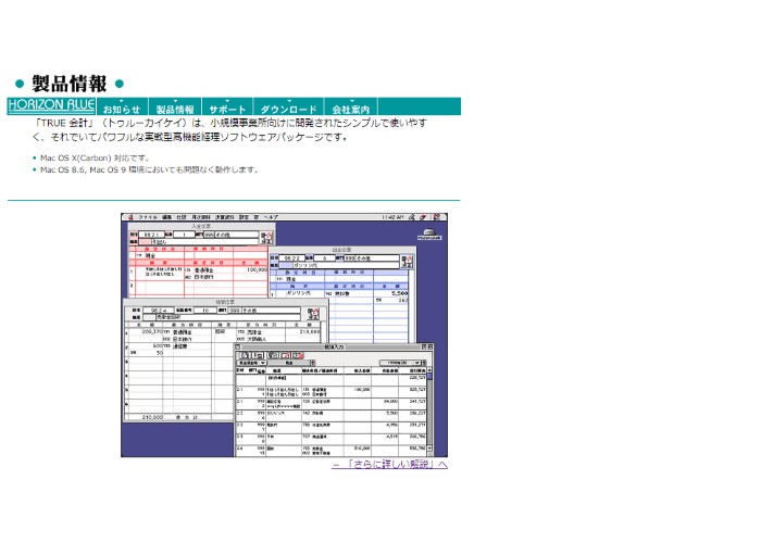 TRUE会計（販売終了）の画像