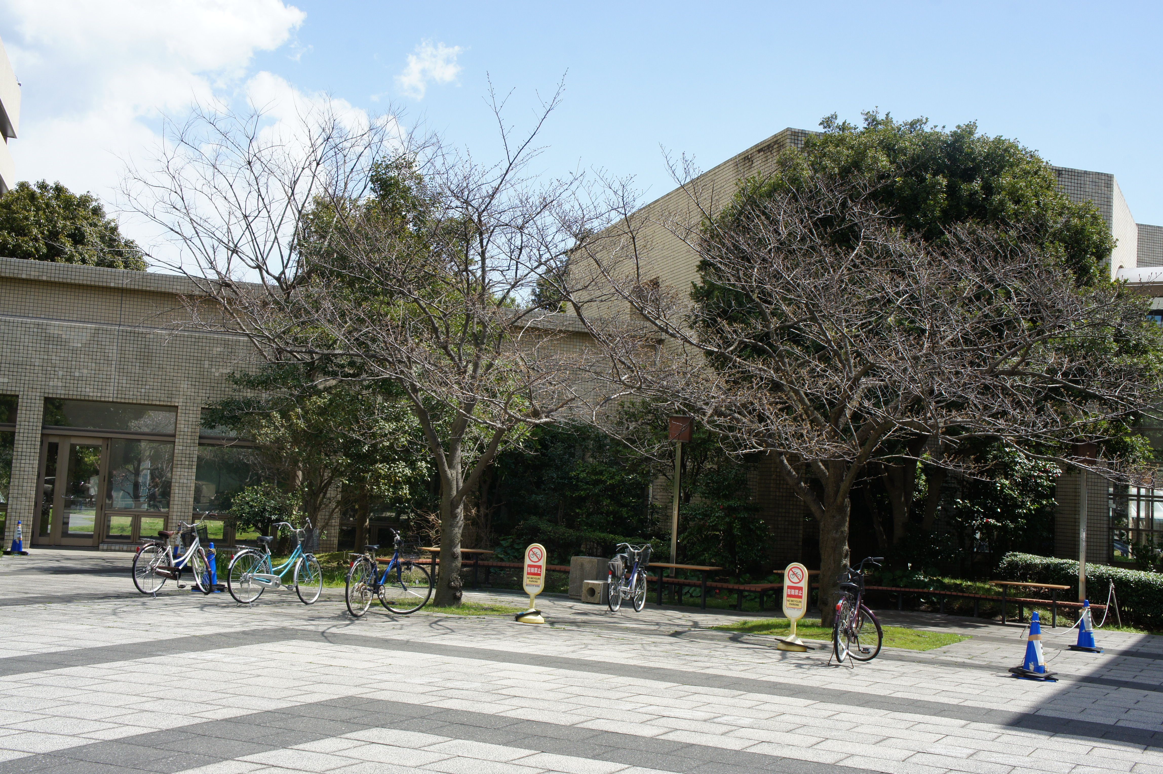 横浜市立大学