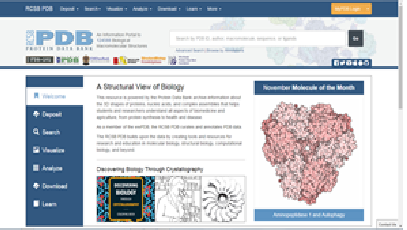 生物学 PDB