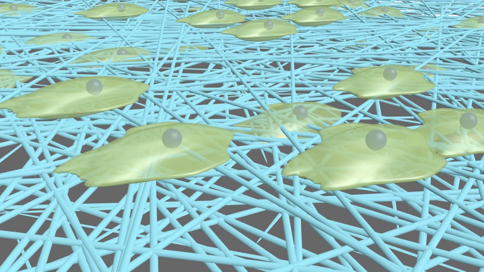 研究における3DCG