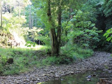千葉県夷隅郡大多喜町田代の売買物件/リバ・リバ 〜山を持つひとつのカタチ〜
