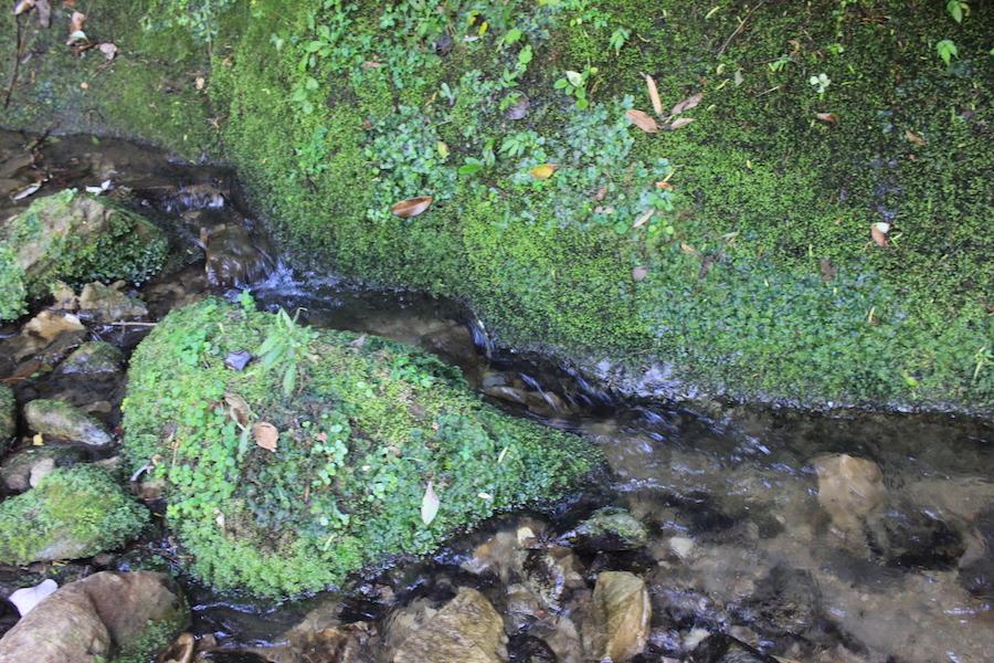 千葉県夷隅郡大多喜町田代の売買物件/この日の川の流れは綺麗な清流でした！