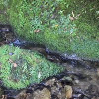 千葉県夷隅郡大多喜町田代の売買物件/この日の川の流れは綺麗な清流でした！