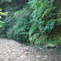 千葉県夷隅郡大多喜町田代の売買物件/川遊びをしたら気持ちよさそう！