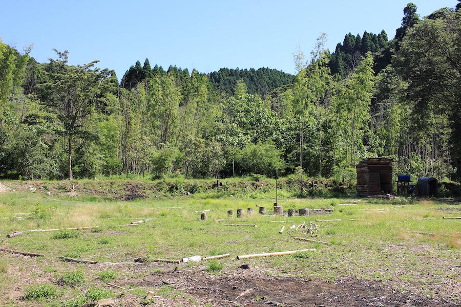 千葉県夷隅郡大多喜町田代の売買物件/前面道路側の平坦で開けたエリア。北側から眺める