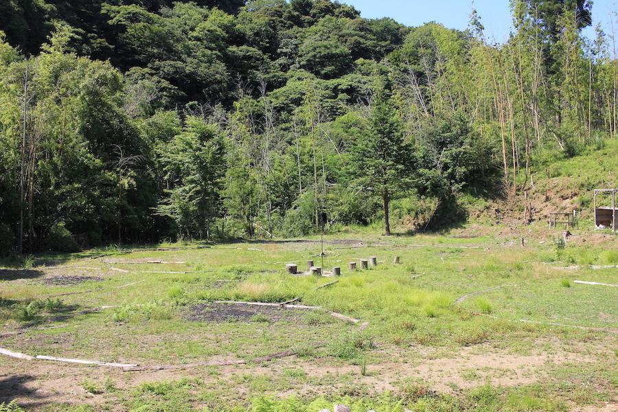 千葉県夷隅郡大多喜町田代の売買物件/前面道路側の平坦で開けたエリア。南側から眺める