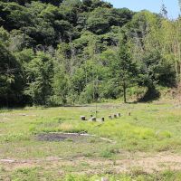 千葉県夷隅郡大多喜町田代の売買物件/前面道路側の平坦で開けたエリア。南側から眺める