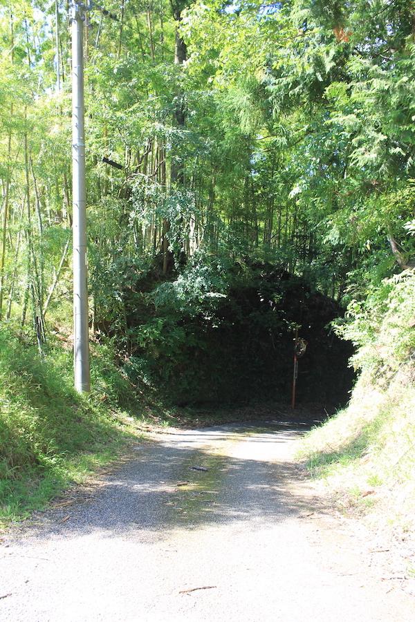 千葉県夷隅郡大多喜町田代の売買物件/前面道路北側の様子