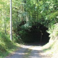 千葉県夷隅郡大多喜町田代の売買物件/前面道路北側の様子