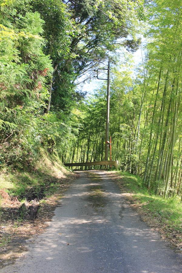 千葉県夷隅郡大多喜町田代の売買物件/前面道路南側の様子