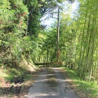 千葉県夷隅郡大多喜町田代の売買物件/前面道路南側の様子
