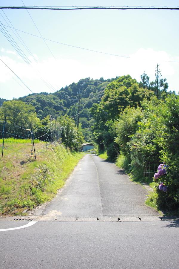千葉県夷隅郡大多喜町田代の売買物件/物件につながる前面道路の入り口。隠れ家的です