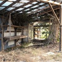 千葉県山武郡九十九里町粟生の売買物件/「魔女の木」の奥にあるアンティークな棚