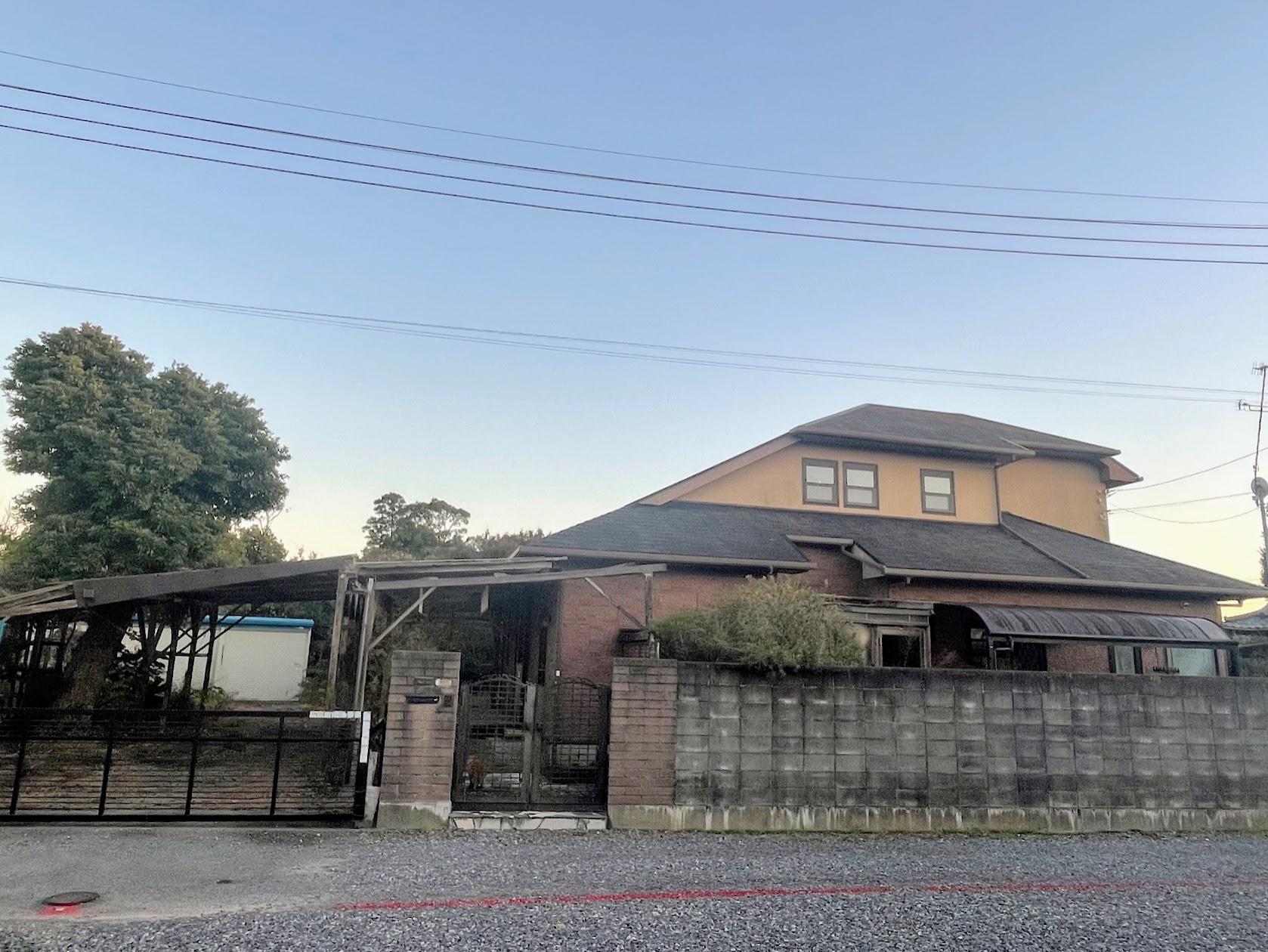千葉県山武郡九十九里町粟生の売買物件/建物外観。カーポートからもりもりと伸びる「魔女の木」