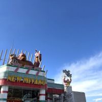 千葉県茂原市早野の売買物件/物件すぐ近くにゴリラがいますのでお気を付けください