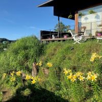 千葉県市原市山口の売買物件/季節の草花が空間を彩ってくれます