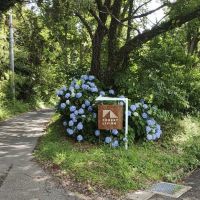 千葉県いすみ市岬町椎木の売買物件/敷地のアプローチには、愛らしい看板がお出迎え。