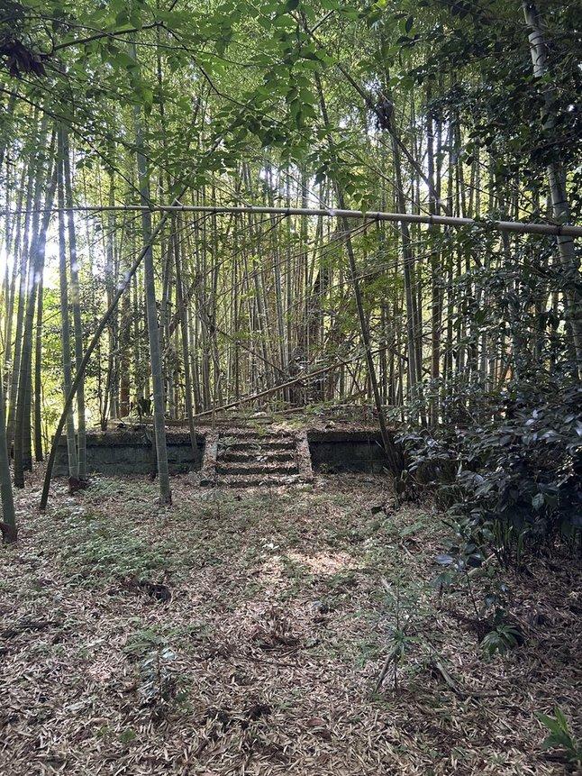 千葉県いすみ市若山の売買物件/更に奥へと進むと結界を張られたような台座。