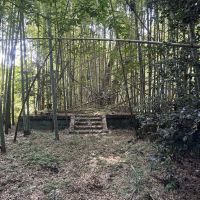 千葉県いすみ市若山の売買物件/更に奥へと進むと結界を張られたような台座。