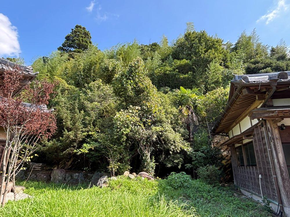 大網白里市萱野の売買物件/倉庫と母屋の間の風景。斜面なので木々がせり出しているように見えます