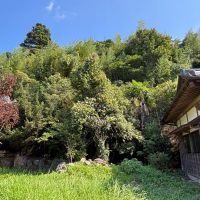 大網白里市萱野の売買物件/倉庫と母屋の間の風景。斜面なので木々がせり出しているように見えます