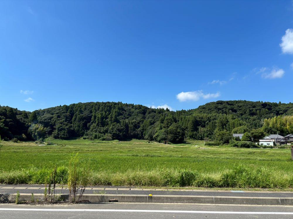 大網白里市萱野の売買物件/敷地前の道路。撮影した平日は車通りはほとんどありませんでした