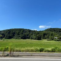 大網白里市萱野の売買物件/敷地前の道路。撮影した平日は車通りはほとんどありませんでした